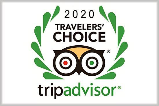 2020 Travelers choice award winner